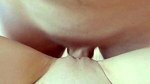 Hot shemale gets fucked in POV close up